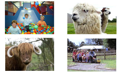 avon valley animal farm