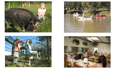 avon valley animal park keynsham bristol