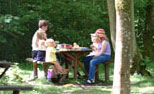 Brokerswood Country Park