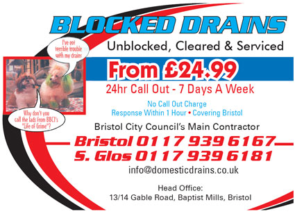 Domestic Drains