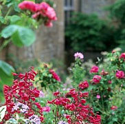 East Lambrook Manor Gardens