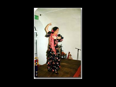 La Flamenca