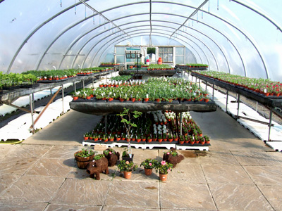 Oakley Green Garden Centre