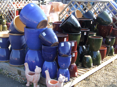 Oakley Green garden centre