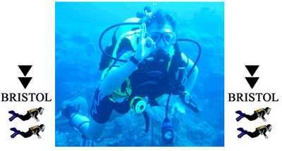southbristol-divers1