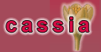 Cassia Indian Restaurant