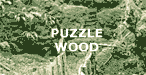 Puzzle Wood in the Forest of Dean