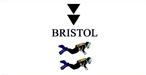 South Bristol Divers