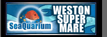 Seaquarium August 11