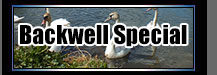 Backwell Special