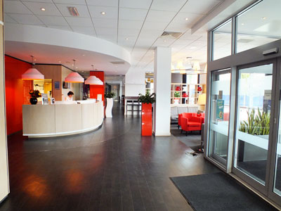 bristol ibis